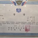 강일체육관 | 챔피언들과 국가대표들이 거쳐간 곳, 충주킥복싱 명문 강일킥복싱 체육관 이야기