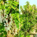 (주)풀과나무 이미지