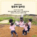 놀이터 zone 이미지