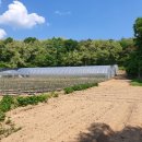 귀촌공인중개사사무소 이미지