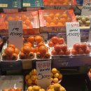 대영청과 이미지