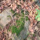 개미행정사 이미지