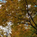 살구골공원 이미지