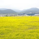 유채공방 이미지