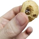 홈런볼 | 노브랜드 크리스피퍼프 초코 후기｜홈런볼 비슷한 과자? 단짠 매력 솔직 리뷰