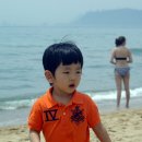 해운대 - 장성읍 | 해운대
