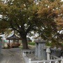 호계천변 이미지