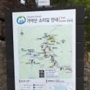해리단길 보행자우선도로 | 합천 &#39;해인사&#39; 가야산의 그림같은 풍경 나들이