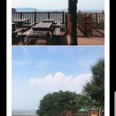 위드해지개 이미지