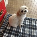 한솔동물병원 이미지