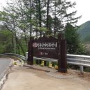 봉화 청옥산 자연휴양림 1캠핑장 이용후기(23.5)