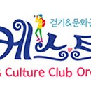 와초리 은행나무 이미지
