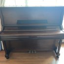 양덕동131 이미지