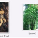 영어영문학과, 영미학 전공, 방통대 영국문학의 이해 요점 정리 10. Percy Bysshe Shelley 등
