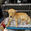 인천 신광초등학교 앞 이미지