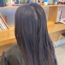 싹잡아PC 이미지