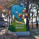 상주은모래비치4 이미지