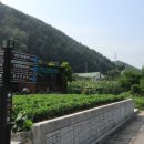 치악산둘레길 7코스 싸리지옛길 이미지