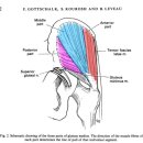 잠실나루 이미지