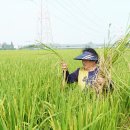 김옥순 농장 이미지