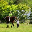 속사초등학교 이미지