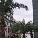 곳 - 대만 타이베이에서 꼭 방문해야 하는 타이베이 3대 야시장 중 라오허제 야시장 소고기말이전병 후기
