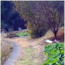 율리영해1길 이미지