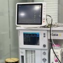 김현태김동민 동물의료센터 이미지