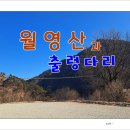 월영산과 출렁다리 이미지