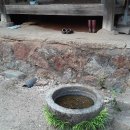 강골민박 이미지