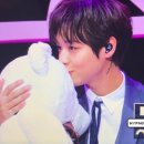 마카오박 이미지