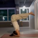 우주사 | 웨딩관리시작💍 다이어트 해볼게. 하프클리닉 복부, 팔뚝 하프컷주사 1회차 후기