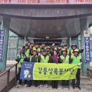 강릉 포남2동-1 강원일보