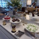 디오디아(DIODIA) 이미지