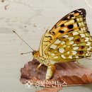 꼬마농축산 이미지