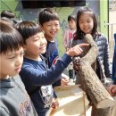 곤충동물 생태 체험교실 이미지