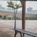 서울오륜초등학교 네이버블로그