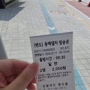 월래 | 2025년07월_국내태교여행_여수 2박3일 여행 둘째날_여수 바다김밥 평일 오픈런&amp;여수 오동도 동백열차...