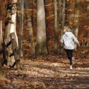 노박젠틀브이의원 이미지