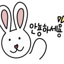 경포정육점식당 이미지