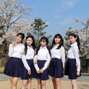 버스터즈 카카오 검색결과
