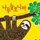 나무늘보 이미지