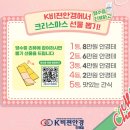 K비젼안경(진해점) 이미지