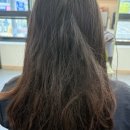 효원로94번길 | 수원 매교역 미용실 추천 우아수헤어 아윤채 클리닉 후기