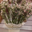 갤러리수예점