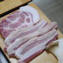 안녕판포 이미지