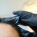 스카이뷰티 | 송파역미용실 단발컷 스카이브라운 염색 라온뷰티하우스 수정부원장님 찐 추천 후기