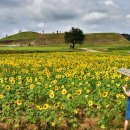 연천 호로고루 이미지