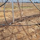 송백농장 이미지