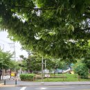 아이메디칼약국 이미지